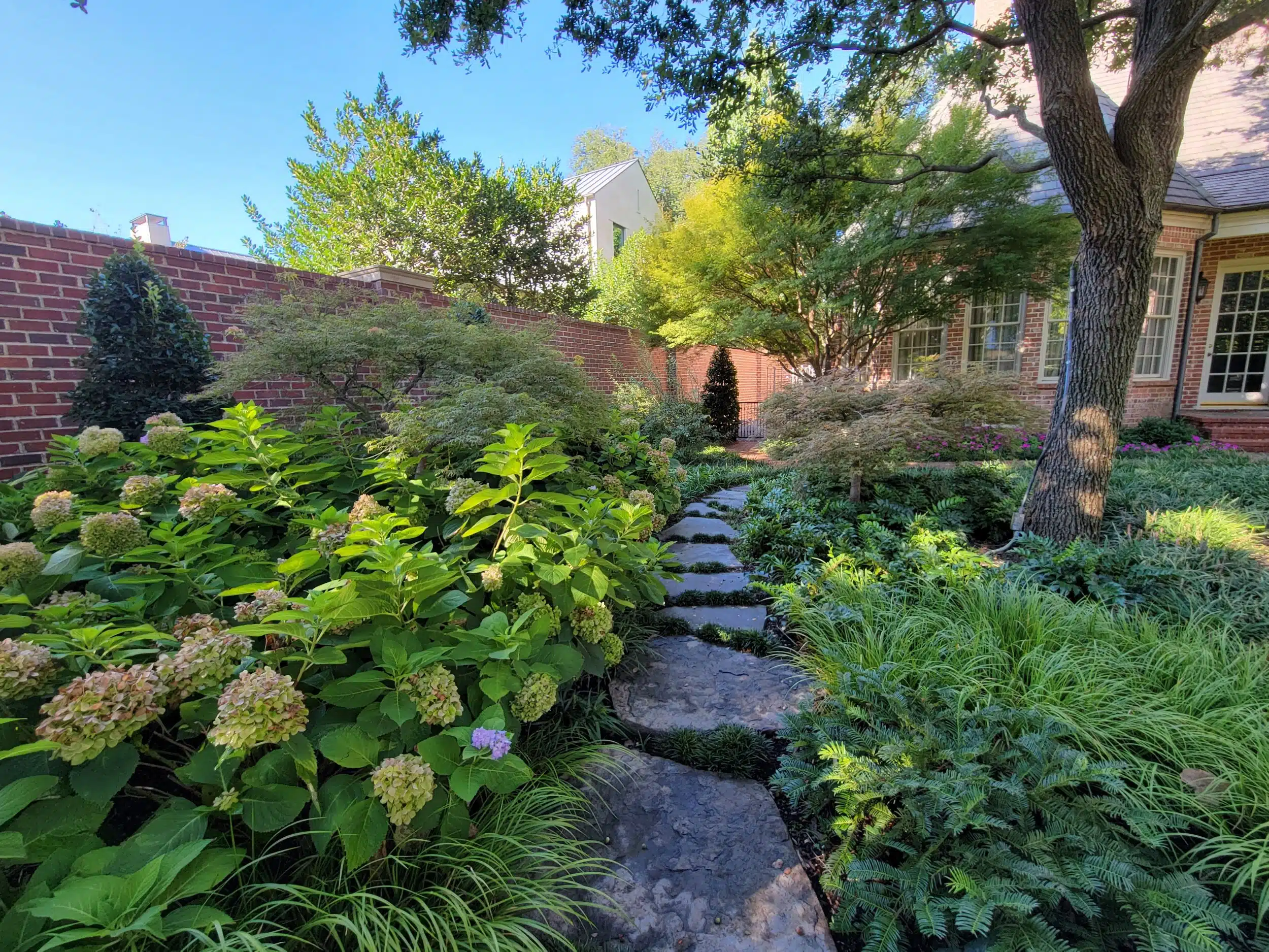 Landscape Design University Park